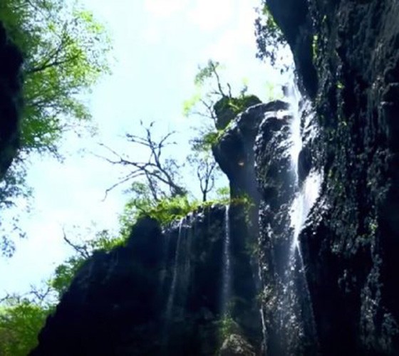 青山綠水，白龍江畔江畔息白鷺，兩岸綠橄欖入眼的都是純樸自然枝上花開(kāi)，春來(lái)水暖魚(yú)蝦戲水，鳥(niǎo)語(yǔ)花香心中充滿(mǎn)著舒暢之感祥宇生態(tài)產(chǎn)業(yè)園，位于隴南市武..